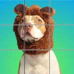 Jigsaw Explorer - Slide Puzzle