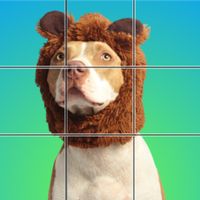 Jigsaw Explorer - Slide Puzzle