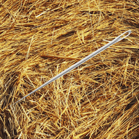 a needle in a haystack