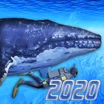 Diving Simulator 2020