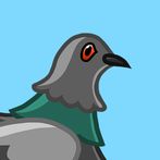 Pinching Pigeon