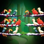 Sweet Birds Sort Color Puzzle