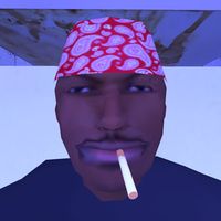 Mr Brown : Toilet Simulator