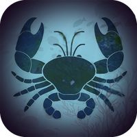 Sunset Fighting Crab