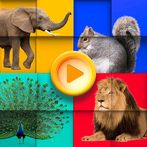 Animals puzzles - photo jigsaw