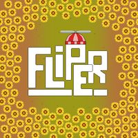 Fliper