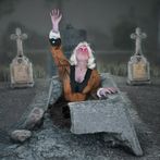 Granny House Scary Granny Head