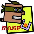 RASP - Run and Solve Puzzles