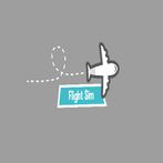 Flight Sim