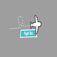 Flight Sim