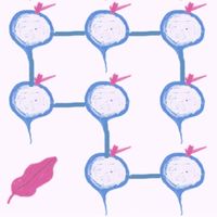 The Way of Fruits: Logic Puzzl