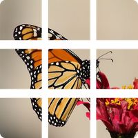 PicsWord - Word Guessing Game