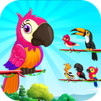 Bird Sort Color: Budgie Puzzle