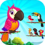 Bird Sort Color: Budgie Puzzle