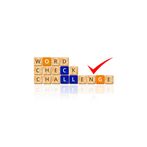 Word Check Challenge