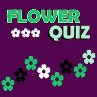 Flower Quiz