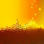 Beer Drop - Hot Girls