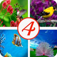 4 фотки 1 слово