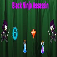 Black Ninja Assassin