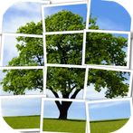 Trees Puzzle