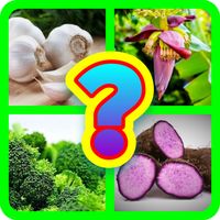Đoán tên rau củ quả bị che TV