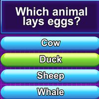 Trivia