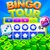 BingoStudioKitty