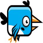 Pybird