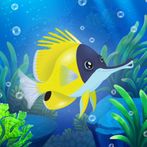 Splash — Fish Aquarium