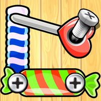 Screw Pin Nuts & Bolts Puzzle