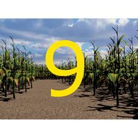 Walla Walla Corn Maze Year 9