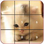 Cat puzzles Jigsaw, Slide 2048
