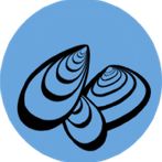 Ertebølle Køkkenmødding