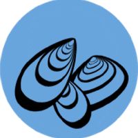 Ertebølle Køkkenmødding