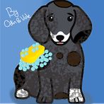 Dog Clean Master Pro+