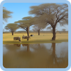 BOTSWANA QUIZ CHALLENGE