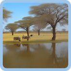 BOTSWANA QUIZ CHALLENGE