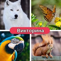 Тестирование животных