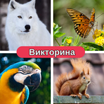 Тестирование животных