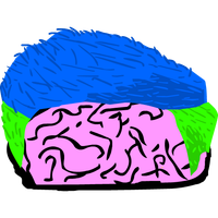 Gênio Quiz Felipe Neto