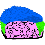 Gênio Quiz Felipe Neto