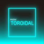 Puzzle Toroidal