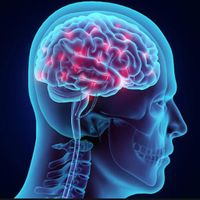 BrainTesting