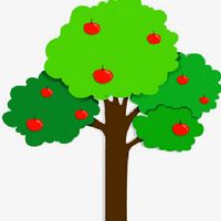 c3coding 나무 걸음