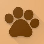 Урзи, текстовый квест