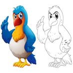 Coloring Animal Pictures