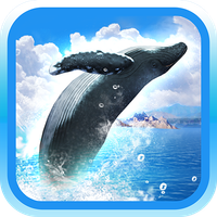 REAL WHALES Find the cetacean!