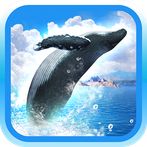 REAL WHALES Find the cetacean!