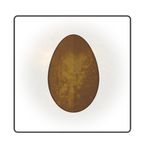 Seed