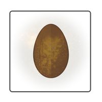 Seed